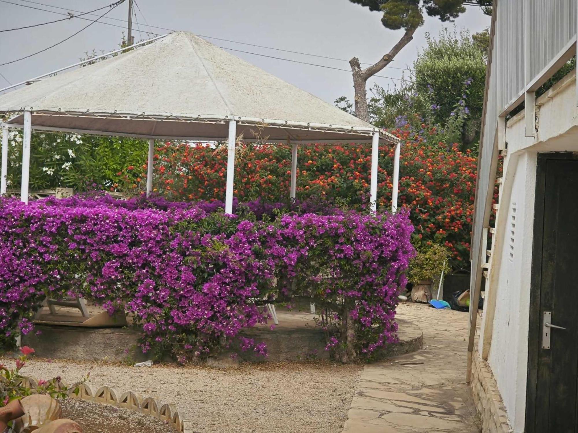 Casa Geminis Vinaros Appartement Buitenkant foto